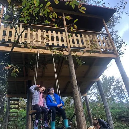 Palheiro Do Vale Do Paiva